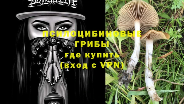 бошки Алексеевка