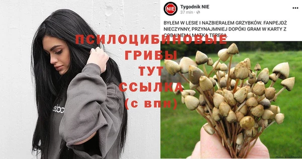 MESCALINE Алзамай