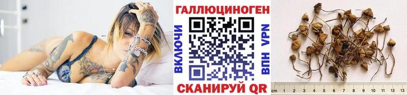 Псилоцибиновые грибы Psilocybine cubensis  кракен зеркало  Обнинск 