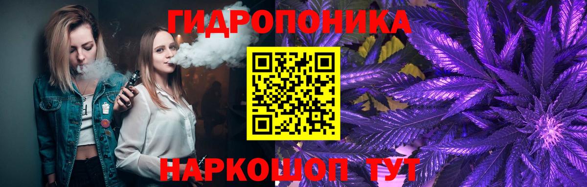 Бошки Шишки планчик Обнинск